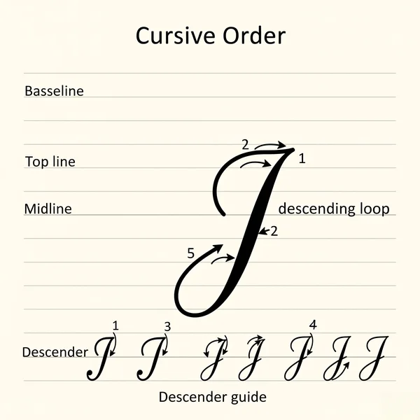 Steps for writing the uppercase cursive letter J
