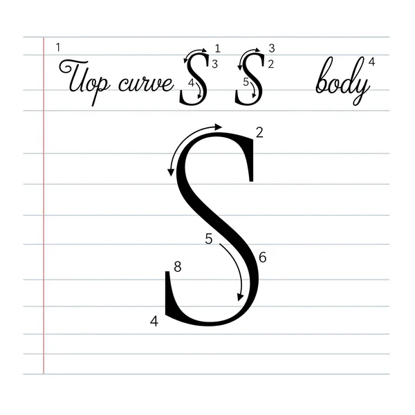 Steps for writing the uppercase cursive letter S