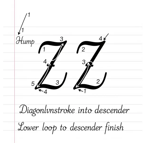 Step-by-step diagram for how to write z cursive